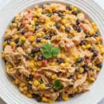 fiesta chicken crock pot 2026 08 02 164155 1